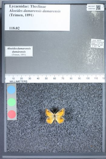 Media type: image;   Entomology 67009